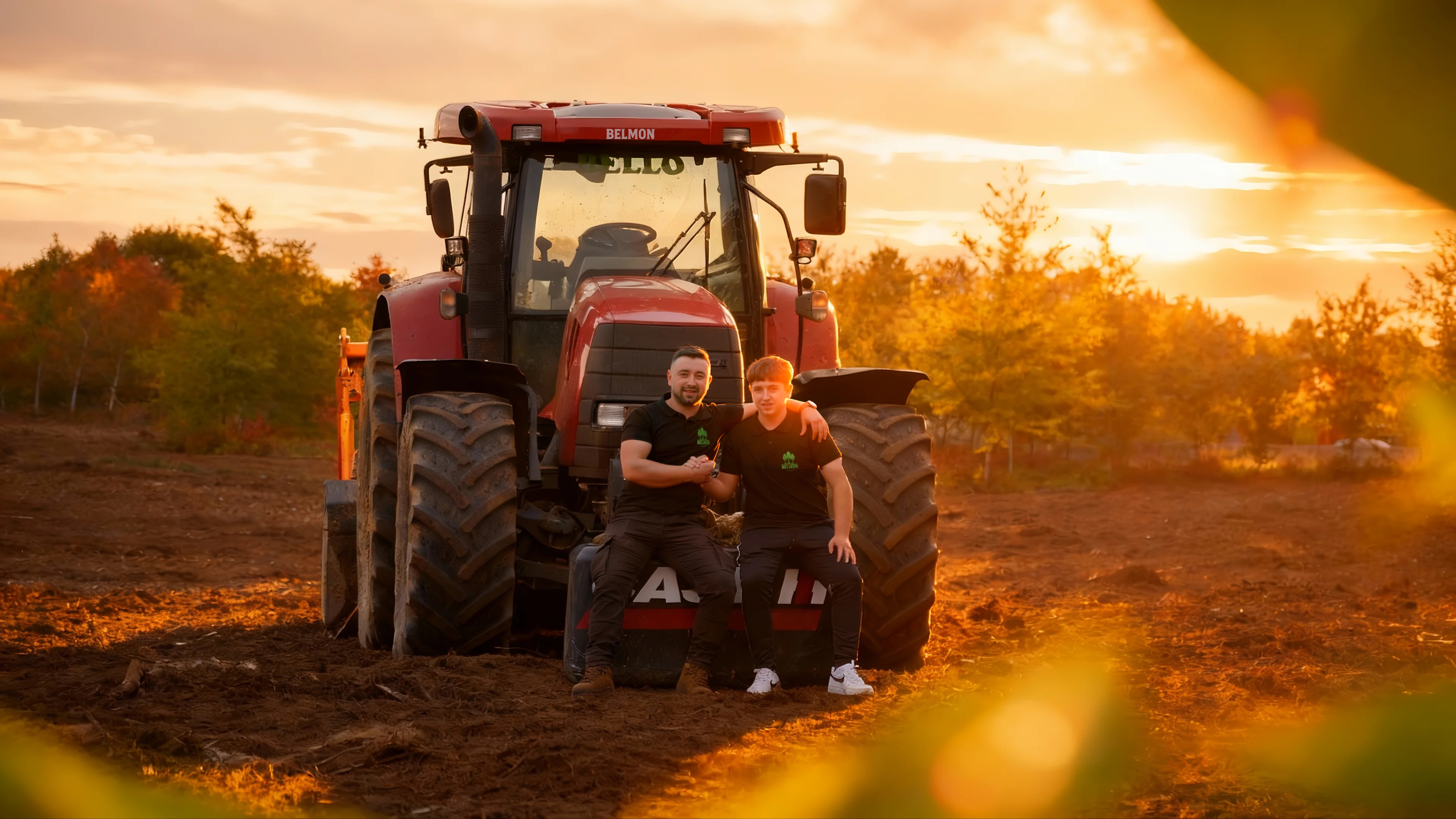 Trabajo forestal al atardecer